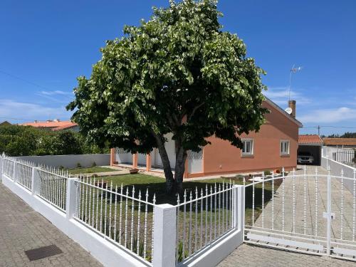a white fence with a tree in front of a house at Moradia alegre no centro da Vila da Tocha. in Tocha
