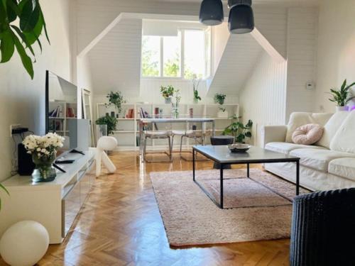 Big, bright apartment in the center of Zagreb