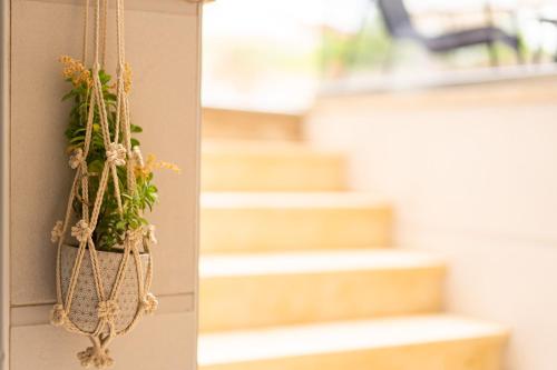 Φωτογραφία από το άλμπουμ του Vellum Luxury Living στην Καλλιθέα Χαλκιδικής
