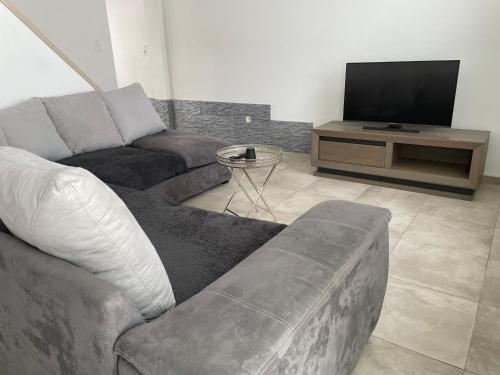 a living room with a couch and a television at Maison proche du centre ville de la gare l aéroport de Charleroi in Charleroi