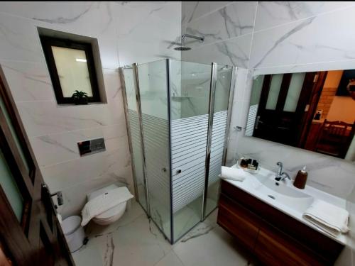 a bathroom with a shower and a sink and a toilet at The Pearl of the Golan - Pnina BaGolan in Had Nes