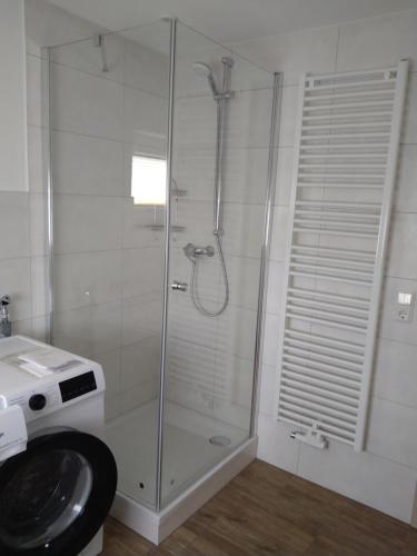 La salle de bains est pourvue d'une douche, de toilettes et d'un lavabo. dans l'établissement Ferienhaus Opolka, à Balgstädt