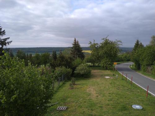 a view of a road with trees and a field at Ferienhaus Opolka in Balgstädt