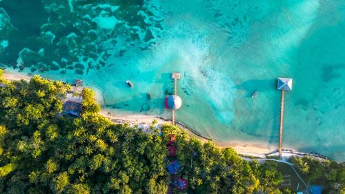 an aerial view of a beach and the ocean at Casa Cayuco Eco-Adventure Lodge in Bocas del Toro