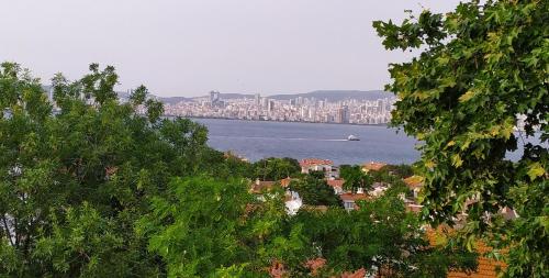 a view of a city with a boat in the water at Büyükada Anastasia Meziki History Mansion in Buyukada