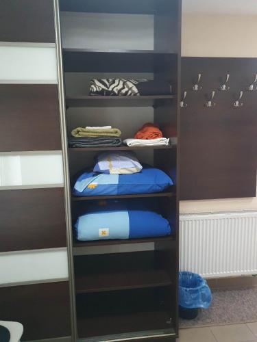 a room with a shelf with blue pillows at Mały domek kawalerka in Starachowice