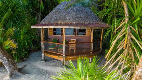 a small hut in the middle of some palm trees at Casa Cayuco Eco-Adventure Lodge in Bocas del Toro