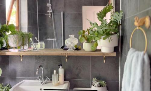 a bathroom with plants on a shelf above a sink at Beautiful Private Room in Levenshulme in Manchester