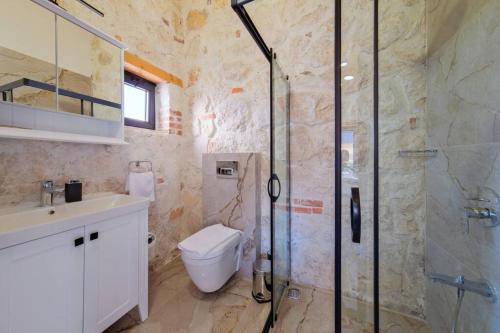 a bathroom with a shower and a toilet and a sink at Ader villa 2 in Fethiye