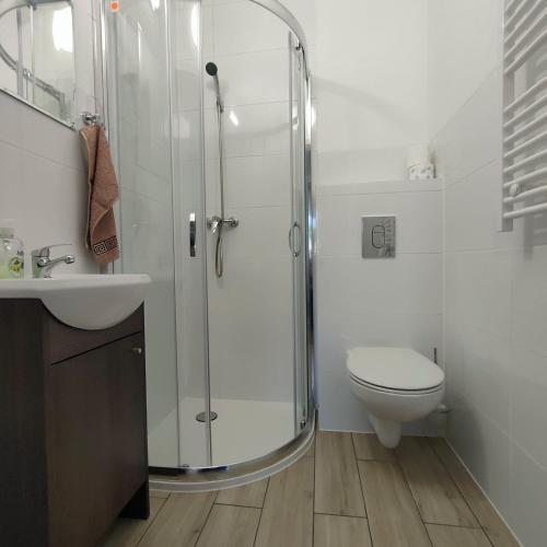 ein Bad mit einer Dusche, einem WC und einem Waschbecken in der Unterkunft Kurka Wodna - Apartamenty na Mazurach in Dłużek