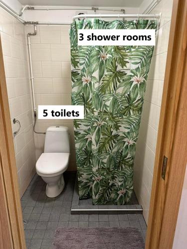 a bathroom with a toilet and a shower curtain at Rendixime - Karjamaa Garden Bungalows Free parking and coffee in Pärnu