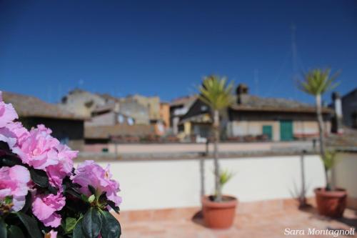 a group of palm trees and pink flowers on a balcony at La Terrazza in Tuscania