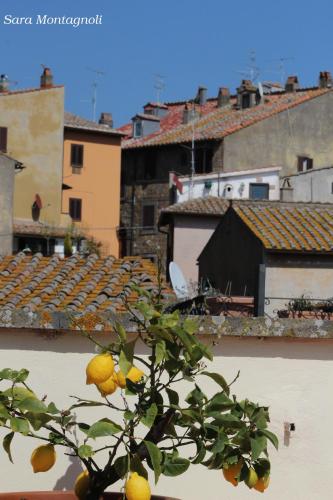 a lemon tree in front of some buildings at La Terrazza in Tuscania