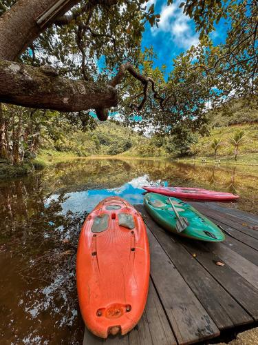 three kayaks are sitting on a dock in the water at EcoFlat Moderno e Aconchegante in Bonito