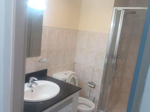 a bathroom with a sink and a toilet at Rudra Residence Apartment in Colombo