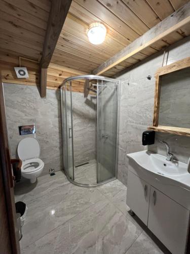 a bathroom with a shower and a toilet and a sink at Nirvana dağ evleri in Çamlıhemşin