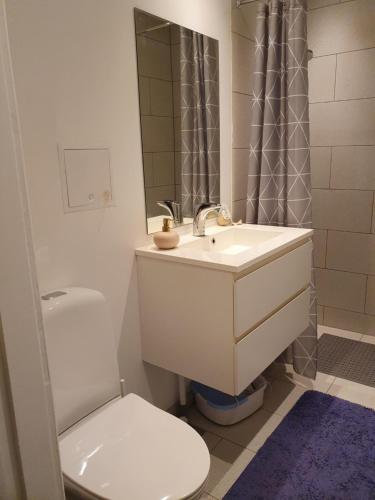 a bathroom with a sink and a toilet and a mirror at Pegasus Bed & Breakfast in Hillerød
