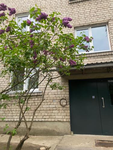 a tree with purple flowers in front of a building at Studio apartment Ogre in Ogre