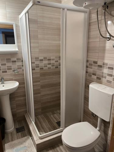 Un baño con ducha, inodoro y lavabo. en Apartmani Goran i Jelena Zec, en Budva