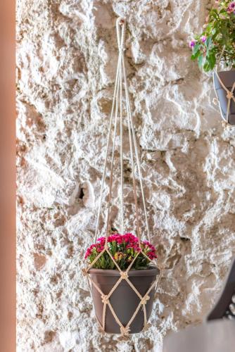 a potted plant hanging on a stone wall at Bella Vasilica Luxury Apartments in Parga