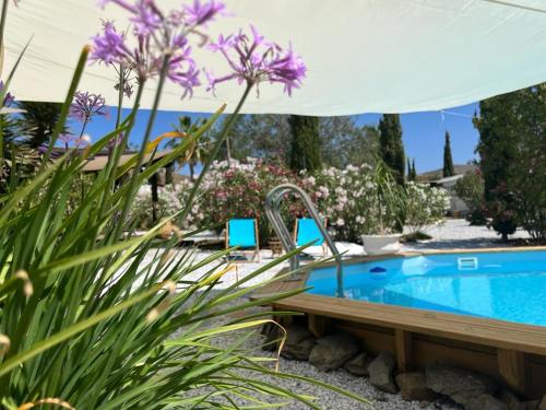 una piscina con 2 sillas azules y flores en Darjas Yurtas el Morisco, en Benajarafe