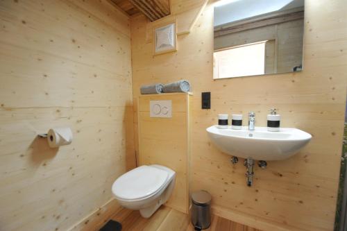a bathroom with a white toilet and a sink at Ferienhof Holzmeister in Sankt Jakob in Haus