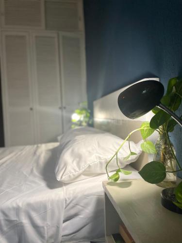 a bed with a white pillow and a lamp on a table at Anana Coliving in Playa del Carmen
