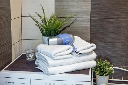 stos ręczników i suszarka do włosów na stosie ręczników w obiekcie Nature - Vanagupės apartamentai w Połądze