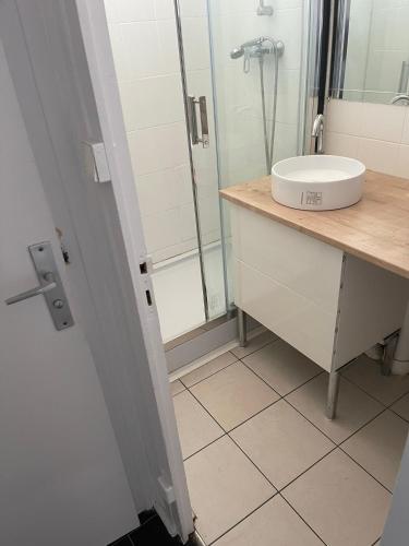 La salle de bains est pourvue d'un lavabo et d'une douche. dans l'établissement Superbe appartement en centre ville, à La Mulatière
