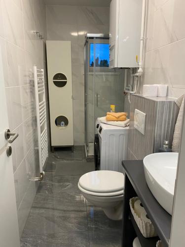 W łazience znajduje się toaleta, umywalka i prysznic. w obiekcie Apartment in the city center w mieście Varaždin