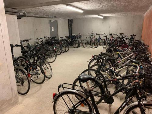 a bunch of bikes parked in a garage at ** Studio cosy La Rochelle quartier des Minimes ** in La Rochelle