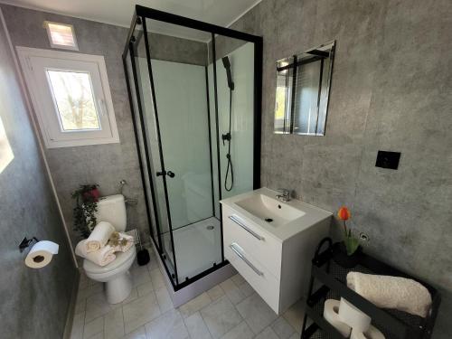 a bathroom with a shower and a toilet and a sink at DomEK Obok Rzeki in Bałtów