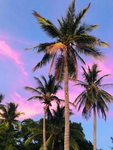 a group of palm trees in front of a sunset at Casa Blanca Beachhouse - walking distance beach in Tamarindo