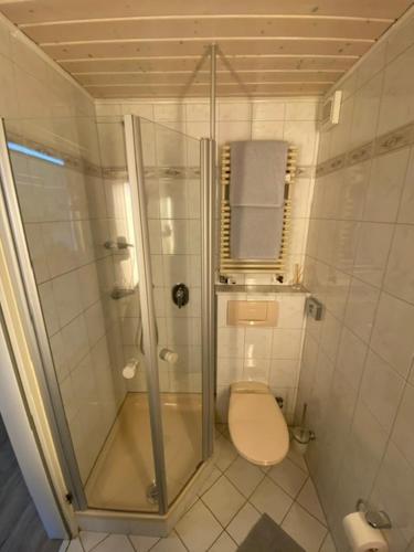 uma casa de banho com um chuveiro e um WC. em Valeria 26 Bosau am großen Plöner See em Bosau