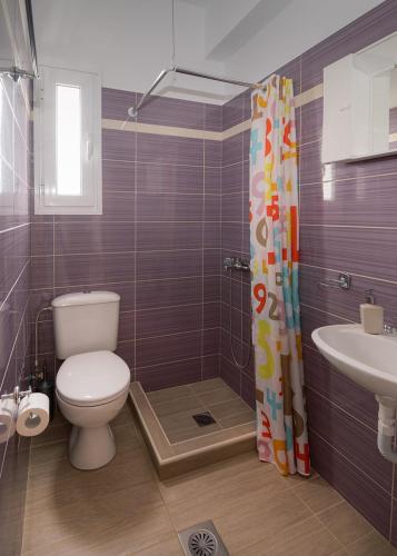 a bathroom with a toilet and a sink at Mandi's Apartments in Karavádhos
