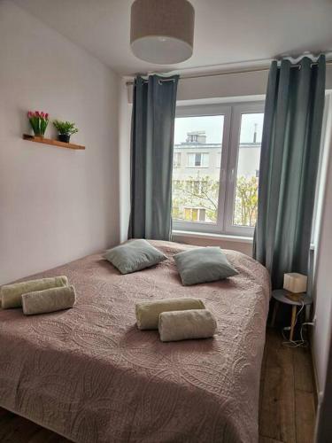 a bedroom with a bed with two pillows and a window at ParkHome in Stalowa Wola