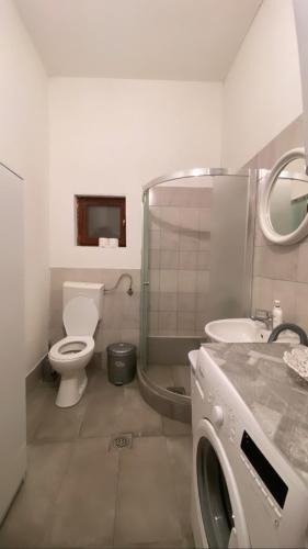 a bathroom with a toilet and a shower and a sink at Galeb Apartment Ohrid in Ohrid
