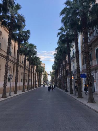 Il quartiere o una zona nella vicinanze dell'appartamento