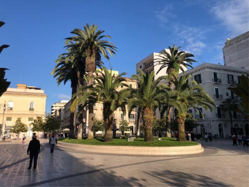 a group of palm trees in a city street at Downtown Lodge Museum in Taranto