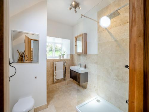 a bathroom with a toilet and a sink at Derwen Deg Fawr in Llanfair-Dyffryn-Clwyd