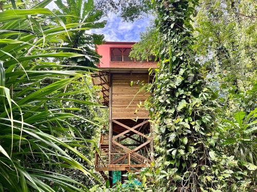 a tree house in the middle of the forest at Casa Cayuco Eco-Adventure Lodge in Bocas del Toro