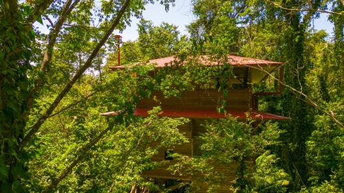 a tree house in the middle of the forest at Casa Cayuco Eco-Adventure Lodge in Bocas del Toro