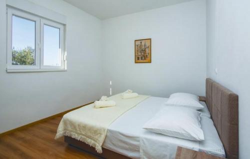 Apartman Darija 2