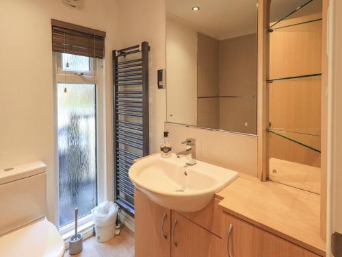 a bathroom with a sink and a toilet at Forest Pines Lodge in Bowness-on-Windermere