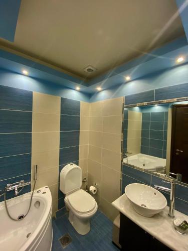 a bathroom with a toilet and a sink and a tub at Pension Hirolakas in Galaxidhion