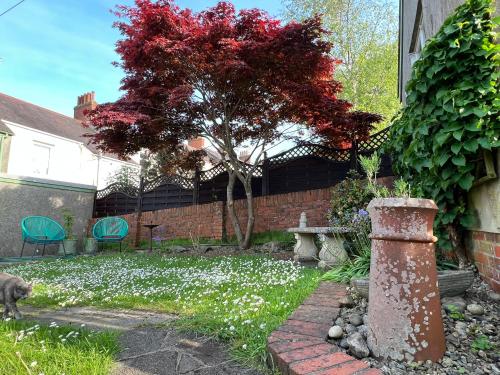 ザ・マンブルズにあるBluebell House - Sea Views & Gardenの花の咲く庭園を歩く猫