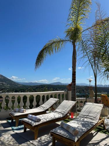 two lounge chairs and a palm tree on a balcony at Miramar in Vence