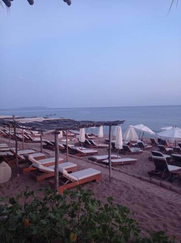 a group of lounge chairs and umbrellas on a beach at Hermes in Kavos