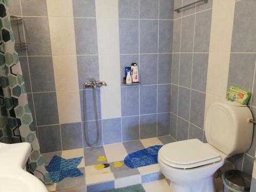 a bathroom with a toilet and a shower at ALTHEA HOLIDAY STUDIO in Aghia Marina