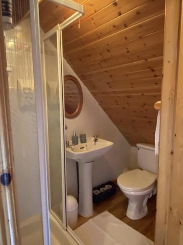a bathroom with a sink and a toilet in a cabin at Lands End Cottage - Connemara in Aughrus More